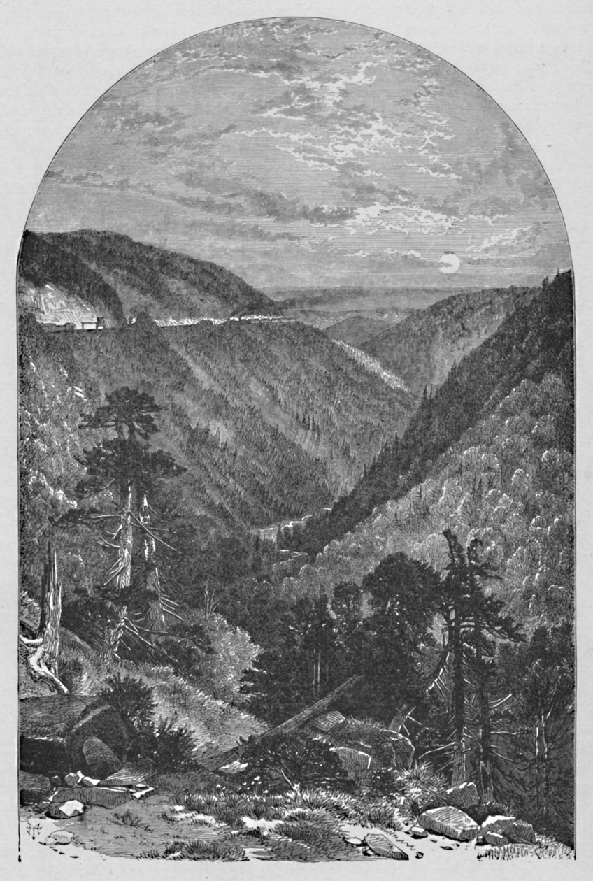 „Widok na Allegrippus”, 1883 autorstwa Meeder and Chubb