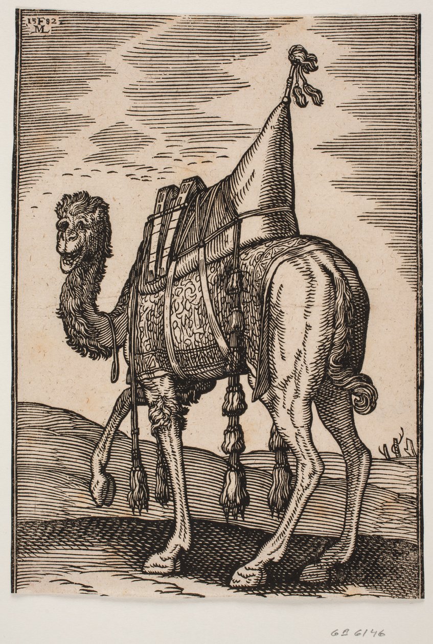 Osiodłany Wielbłąd autorstwa Melchior Lorck
