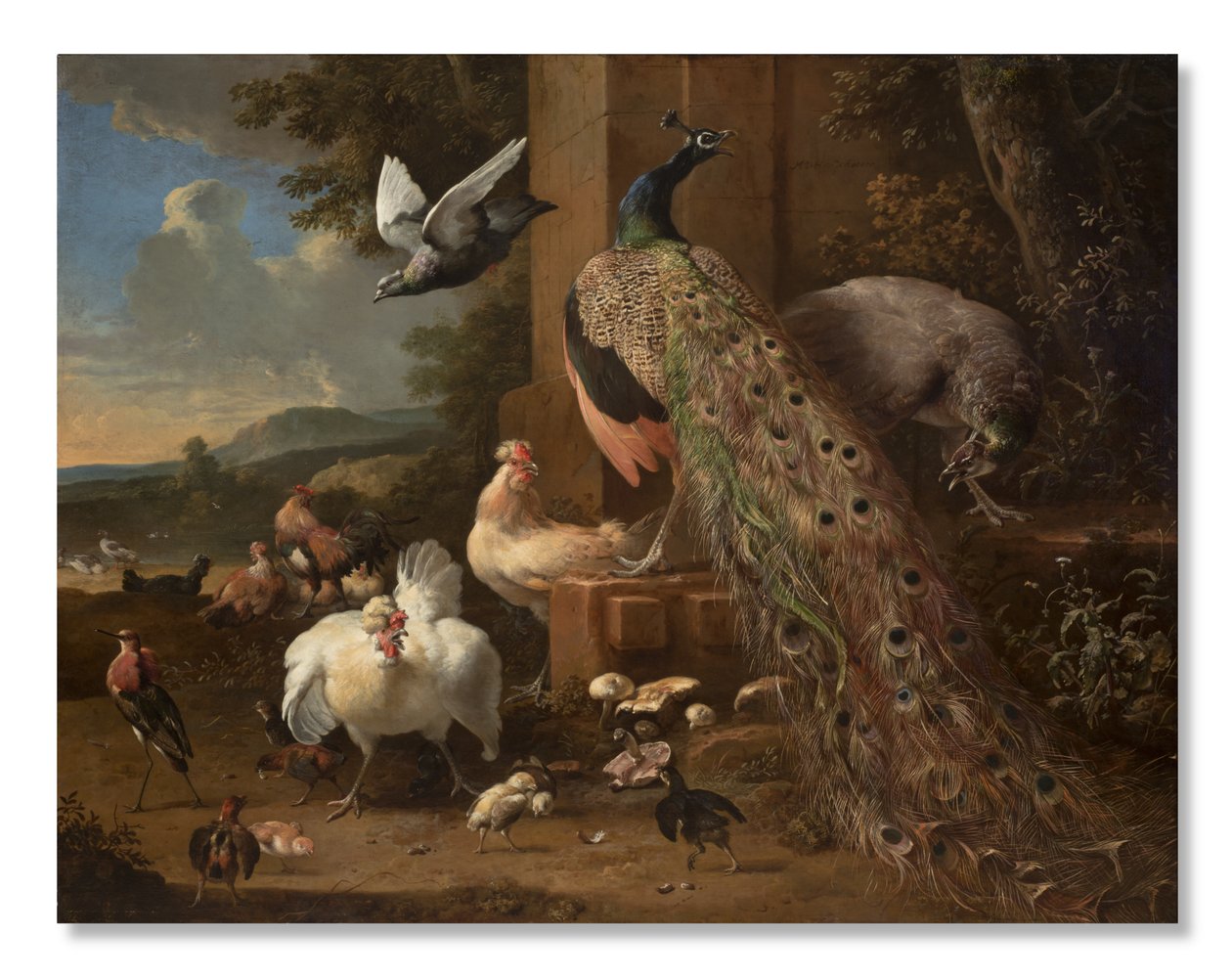 Menażeria, ok.1680 autorstwa Melchior de Hondecoeter