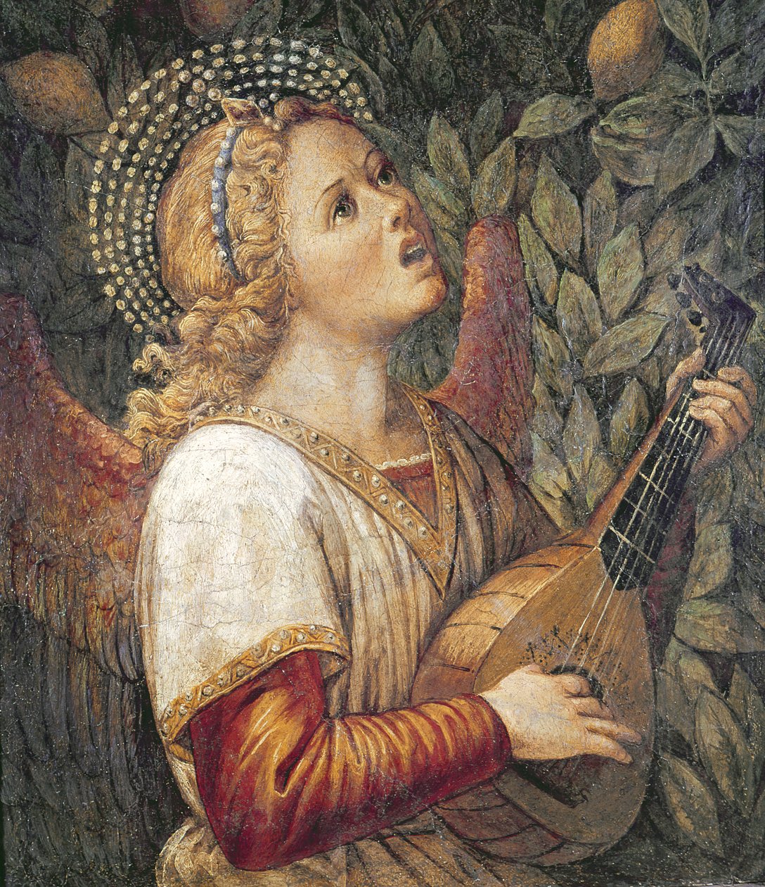 Anioł Muzyk autorstwa Melozzo da Forli