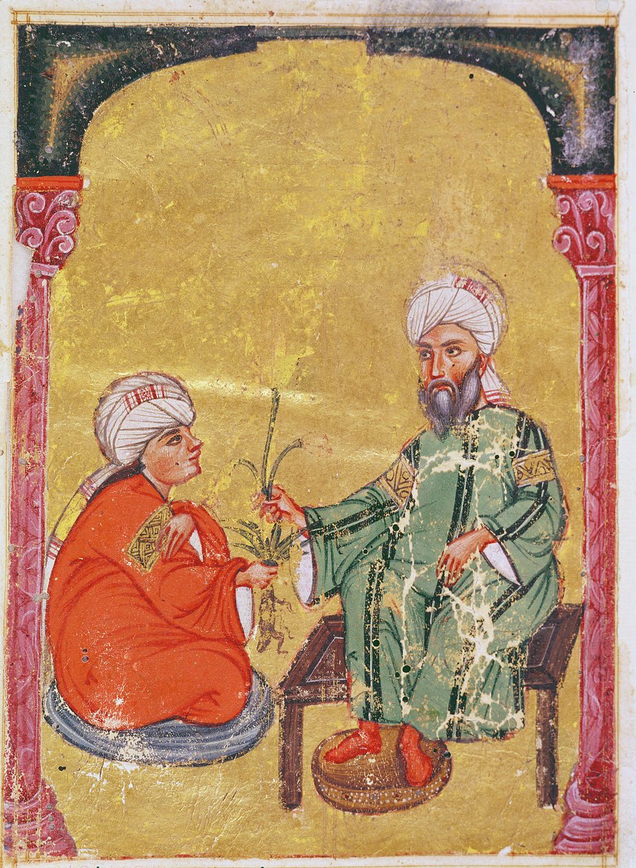 Ahmet III, 2127 Ilustracja z „De Materia Medica” Dioscorides autorstwa Mesopotamian