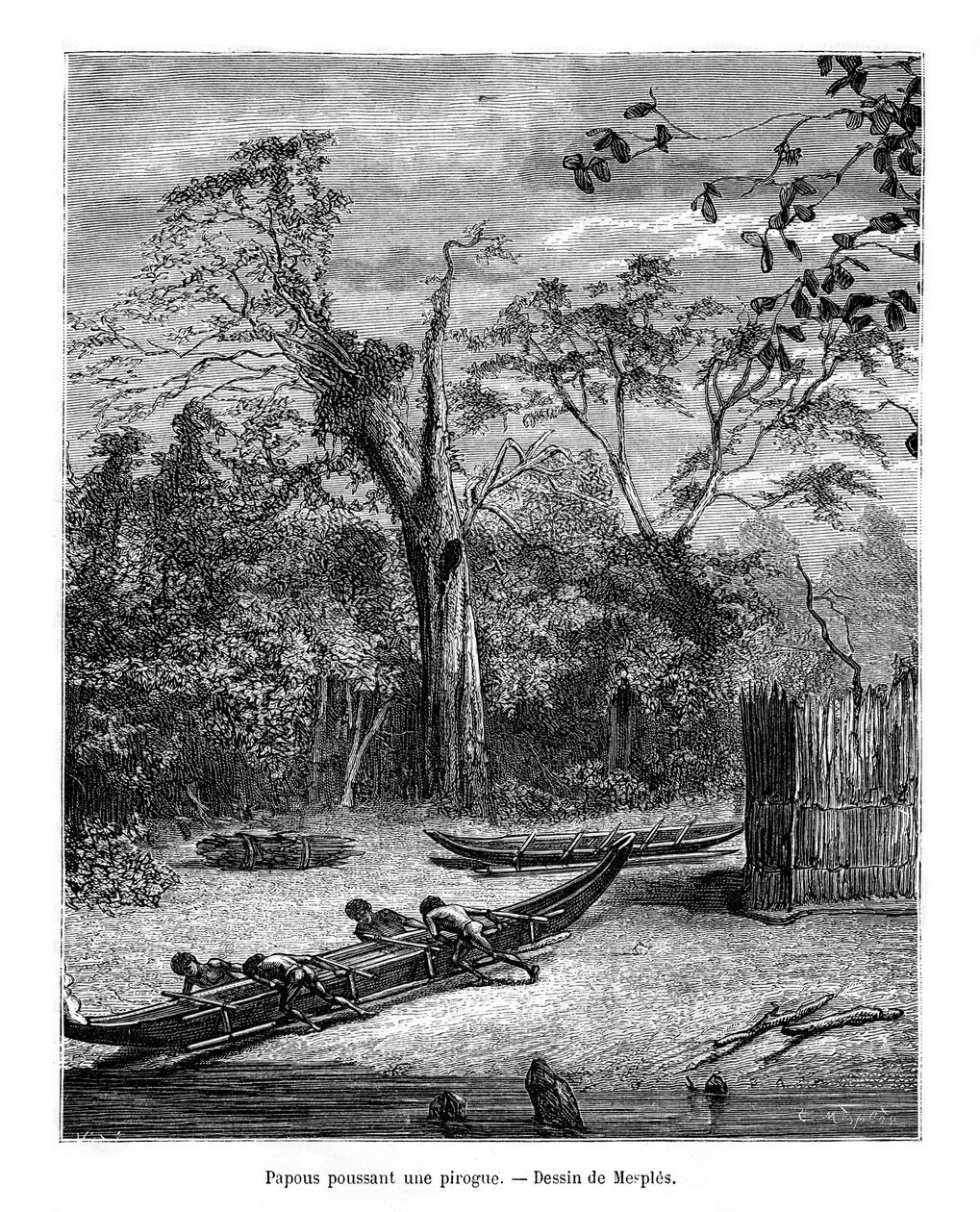 Ziemianka rybacka, Papua, XIX w. autorstwa Mesples