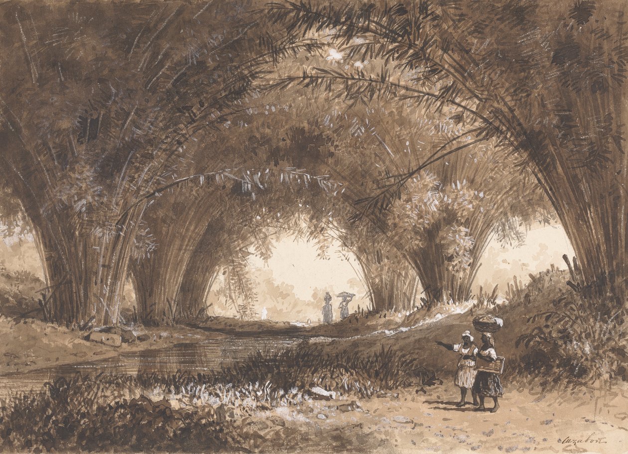 Bambusowi łuki, St. Anns autorstwa Michel Jean Cazabon