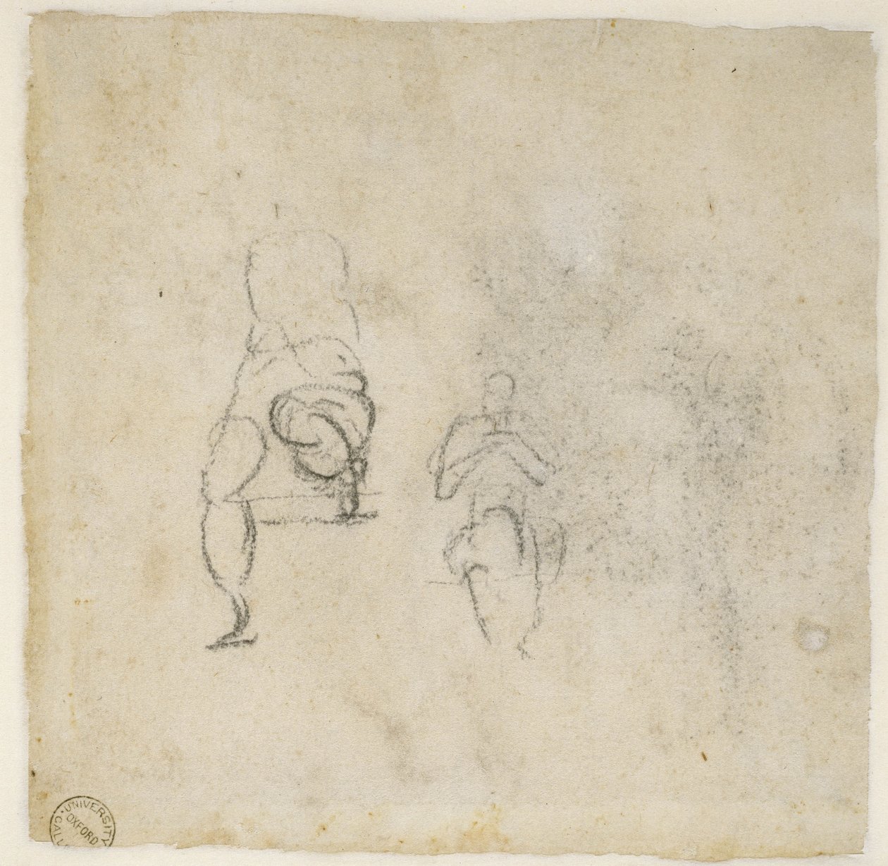 Figure Studies, c.1511 (czarna kreda na papierze) autorstwa Michelangelo Buonarroti