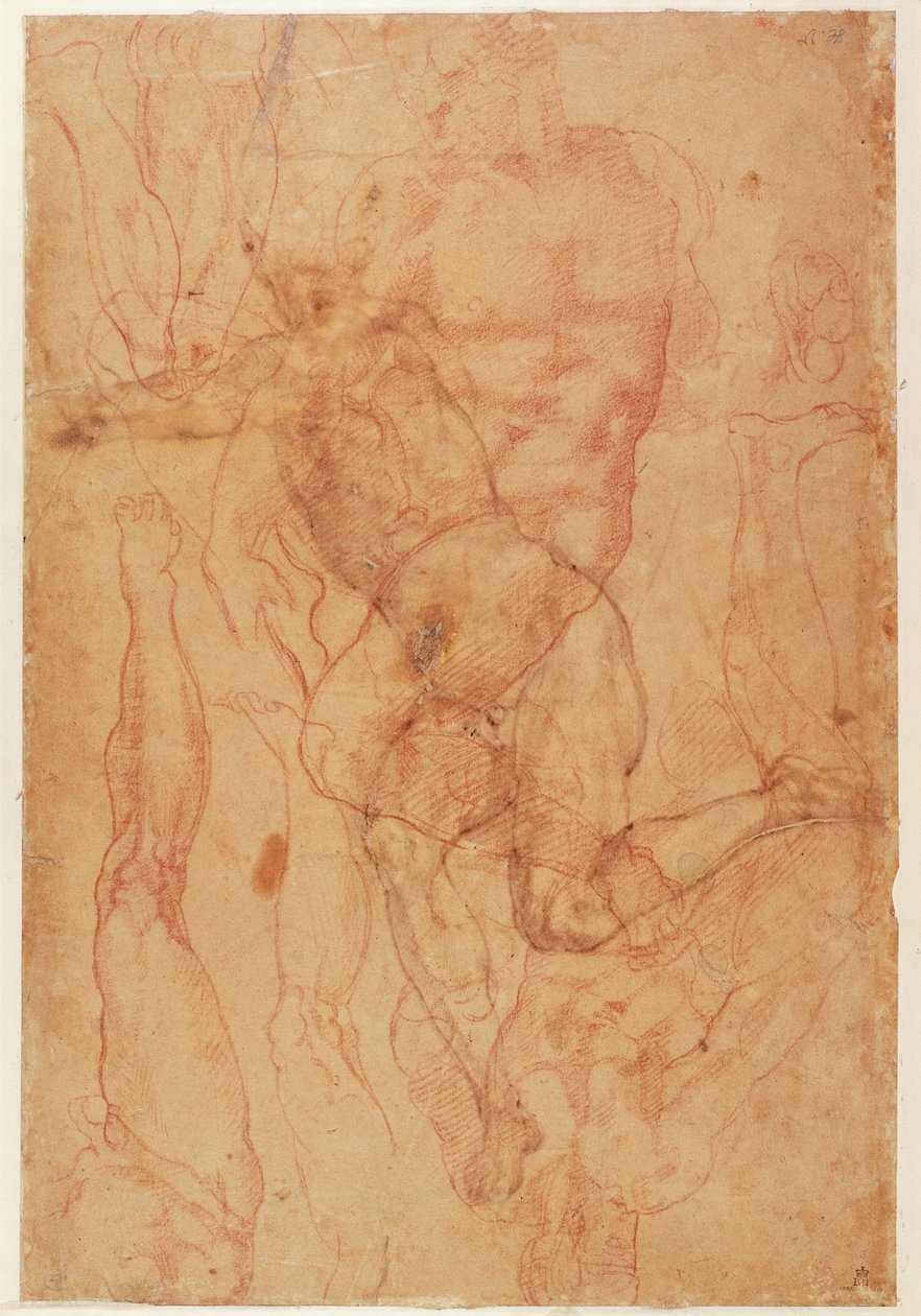 Studium postaci (czerwona kreda na papierze) autorstwa Michelangelo Buonarroti