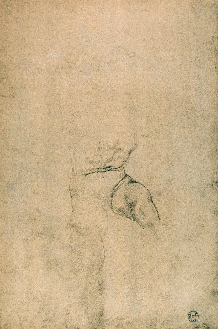 Akt męski, studium Michała Anioła. Gabinetto dei Disegni e delle Stampe, Galeria Uffizi, Florencja autorstwa Michelangelo Buonarroti