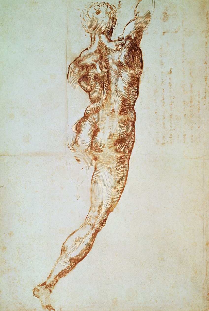 Akt, studium do bitwy pod Cascina (czerwona kreda na papierze) autorstwa Michelangelo Buonarroti