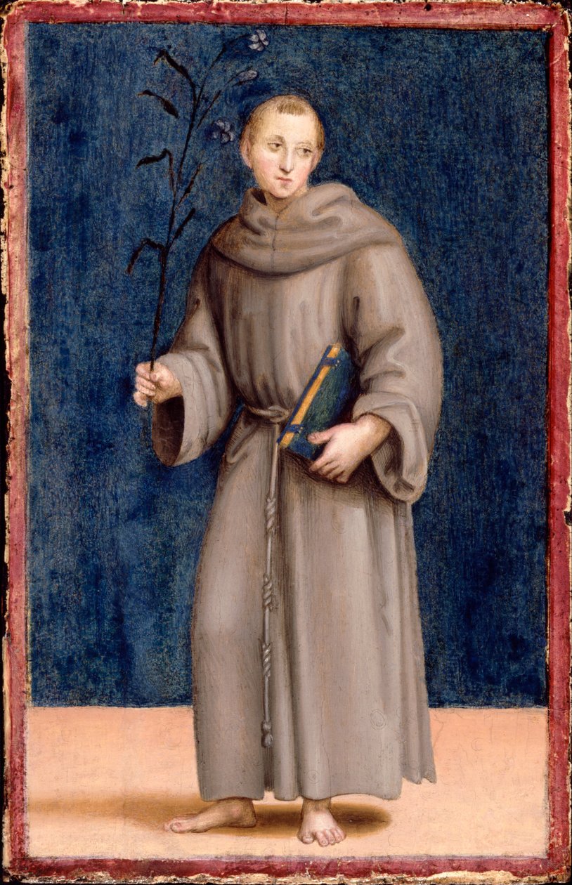Św. Antoni z Padwy autorstwa Michelangelo Buonarroti