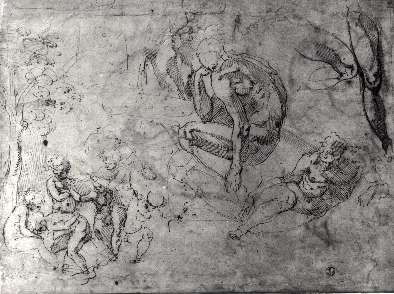 Studia dla postaci autorstwa Michelangelo Buonarroti