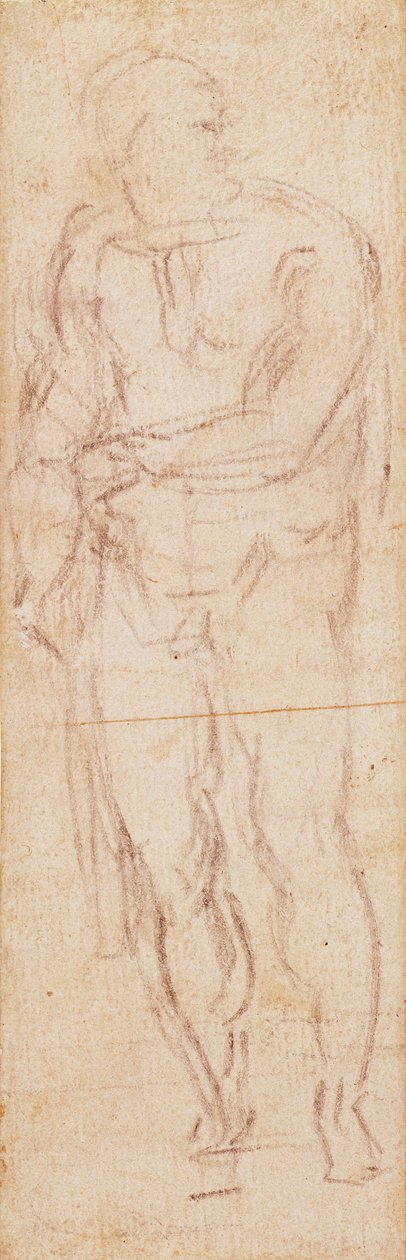 Studium dla Adama w „Wypędzeniu”, 1508-12 (węgiel na papierze) (recto) autorstwa Michelangelo Buonarroti