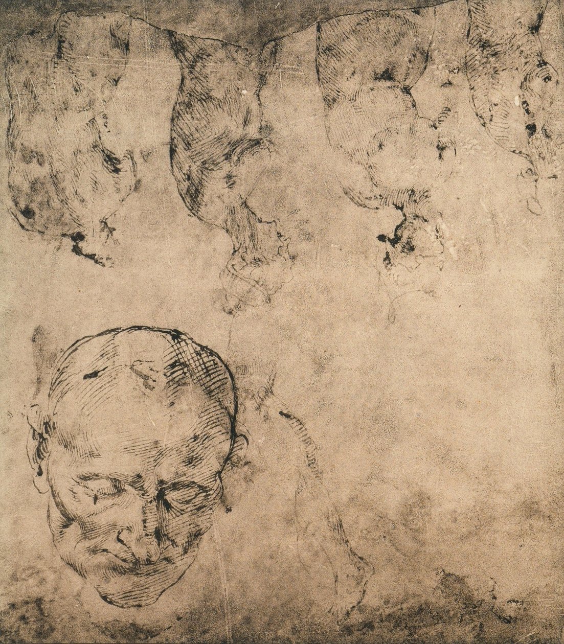 Studiuj na głowę; rysunek Michała Anioła. Casa Buonarroti, Florencja autorstwa Michelangelo Buonarroti