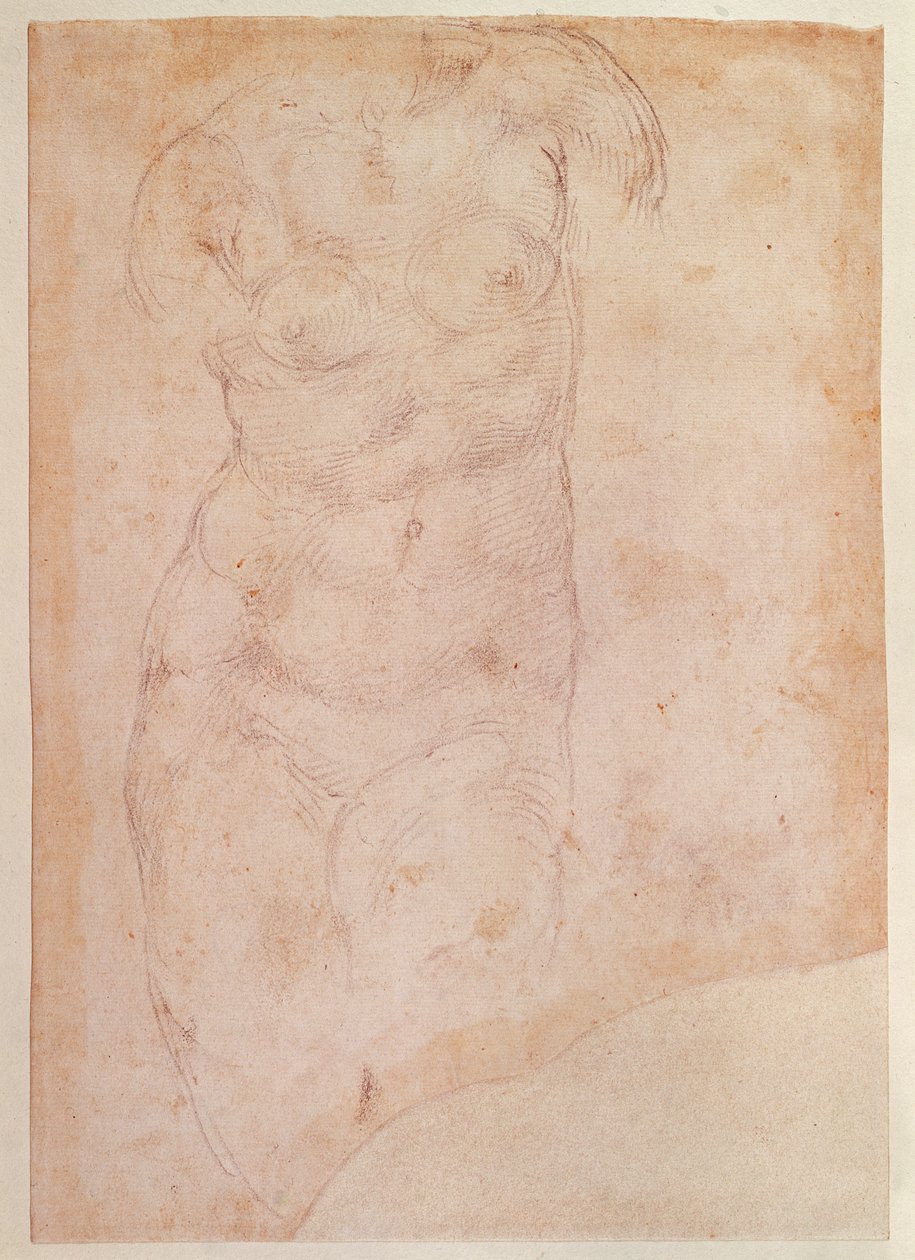 Studium aktu kobiecego autorstwa Michelangelo Buonarroti