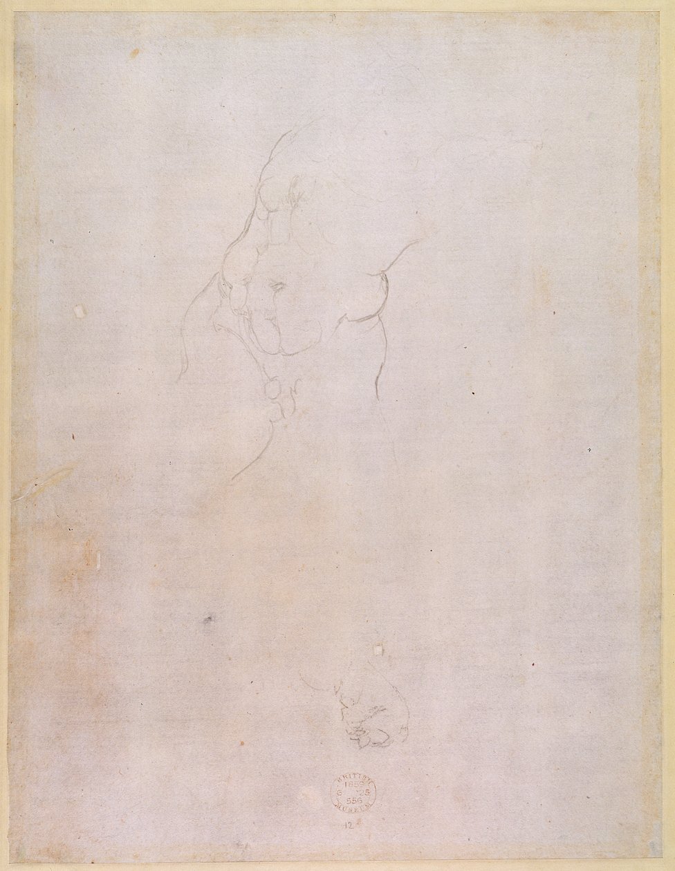 Badanie męskiego torsu (verso) (odbyt. patrz 192512) autorstwa Michelangelo Buonarroti