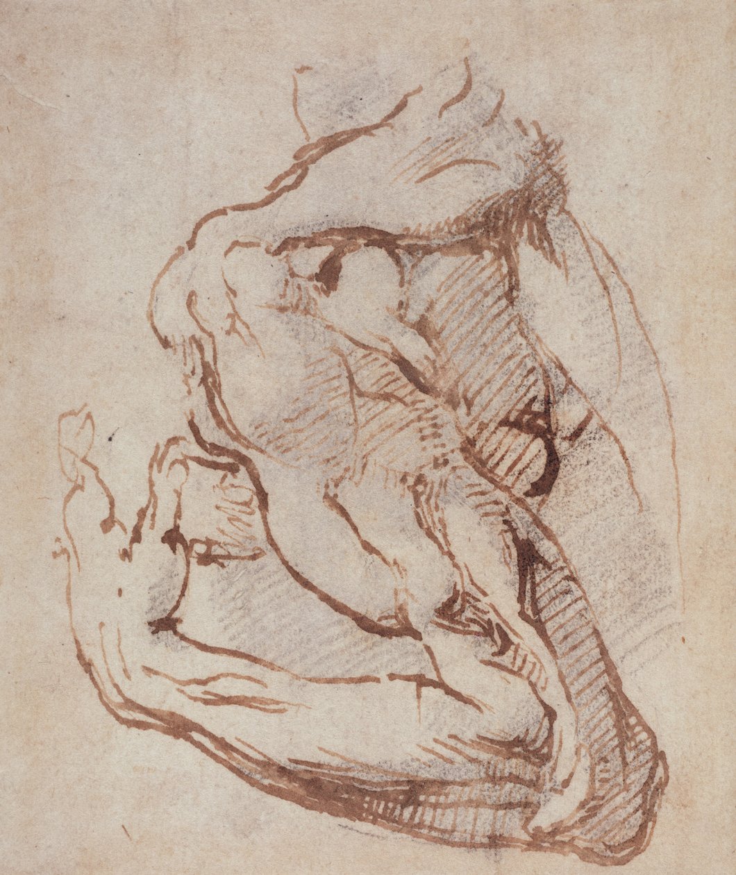 Studium ramienia (atramentu) Inv.1859514819 (W.49) autorstwa Michelangelo Buonarroti