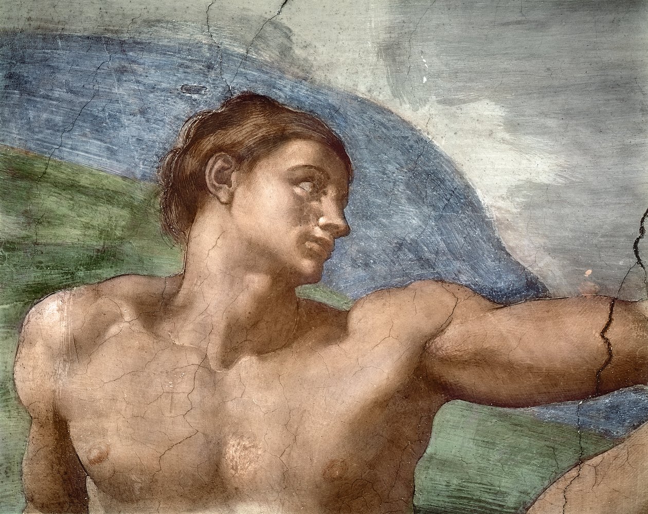 Stworzenie Adama, fragment głowy Adama, 1508-12 autorstwa Michelangelo Buonarroti