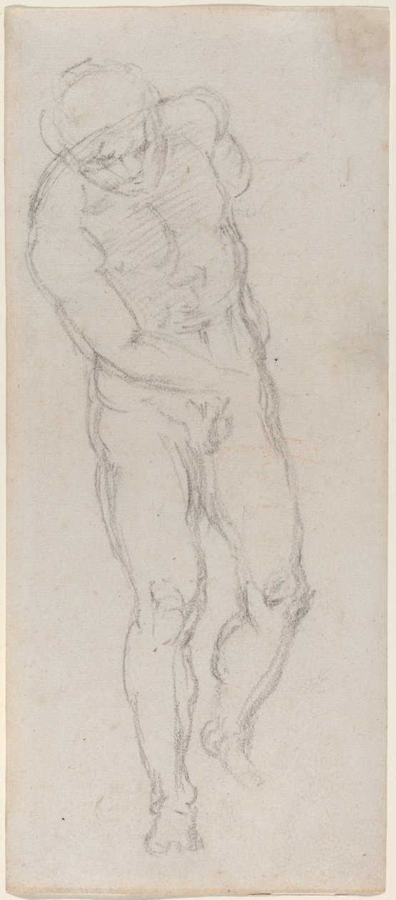 Akt Męski [odbyt] autorstwa Michelangelo