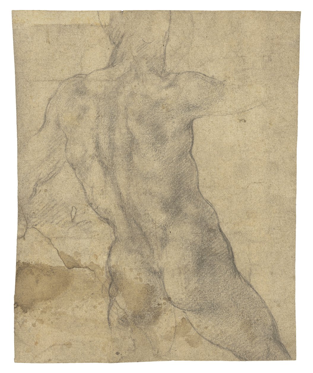 Akt męski widziany od tyłu autorstwa Michelangelo Buonarroti