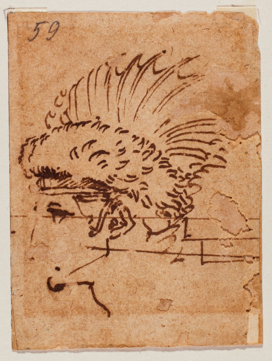 Głowa z grzebieniem autorstwa Michelangelo Buonarroti