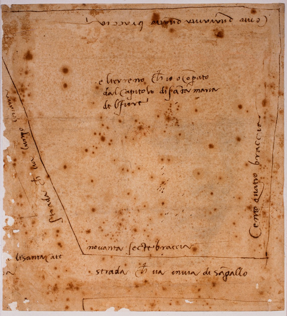 Plan terenu autorstwa Michelangelo Buonarroti