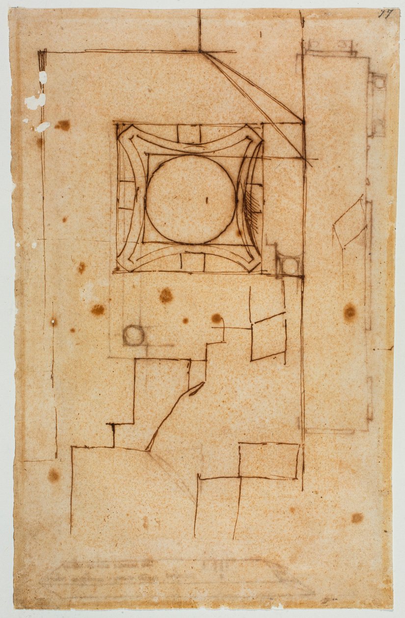 Pozioma sekcja kapitału autorstwa Michelangelo Buonarroti