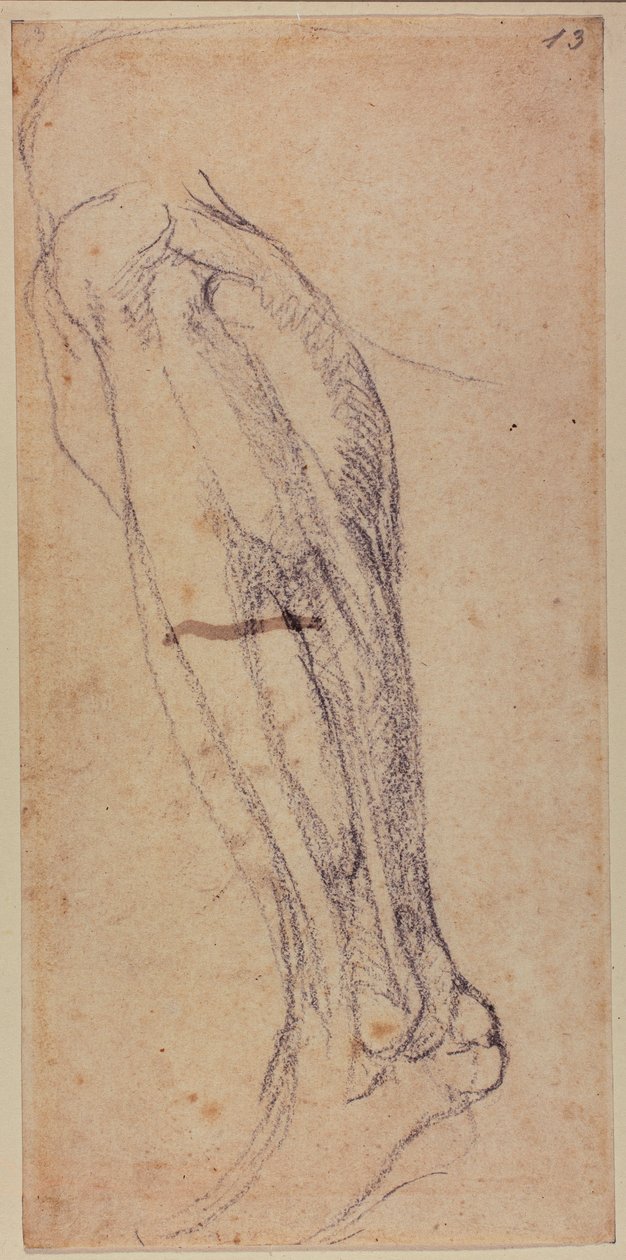 Badanie nóg autorstwa Michelangelo Buonarroti