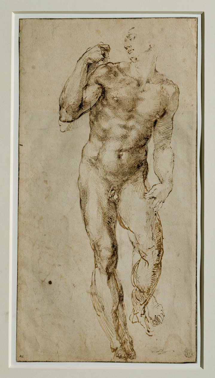 Akt męski, widok z przodu, ok. 1502-1506 ... autorstwa Michelangelo Buonarroti