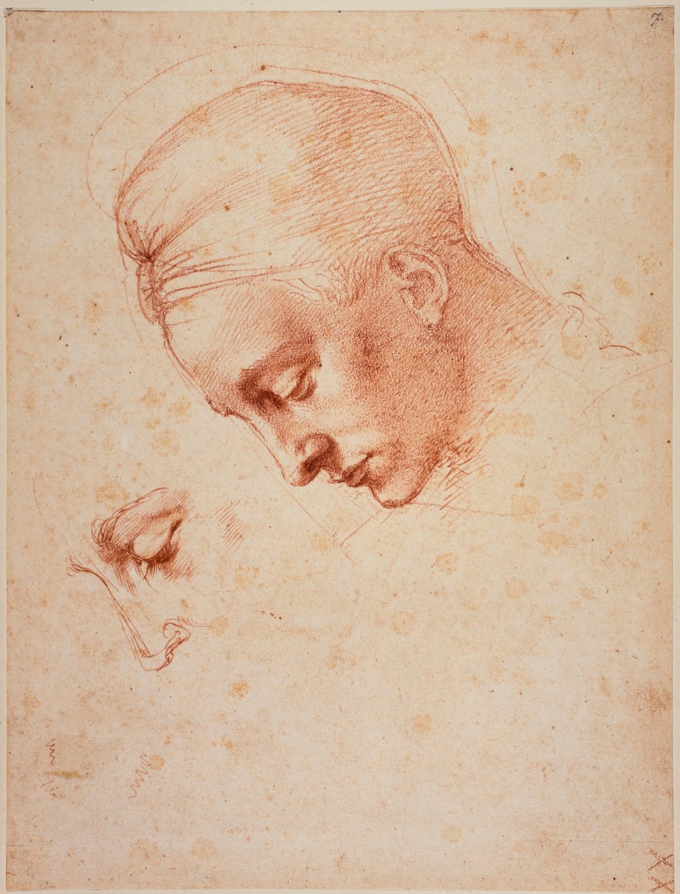 Badania głowy "Ledy autorstwa Michelangelo Buonarroti