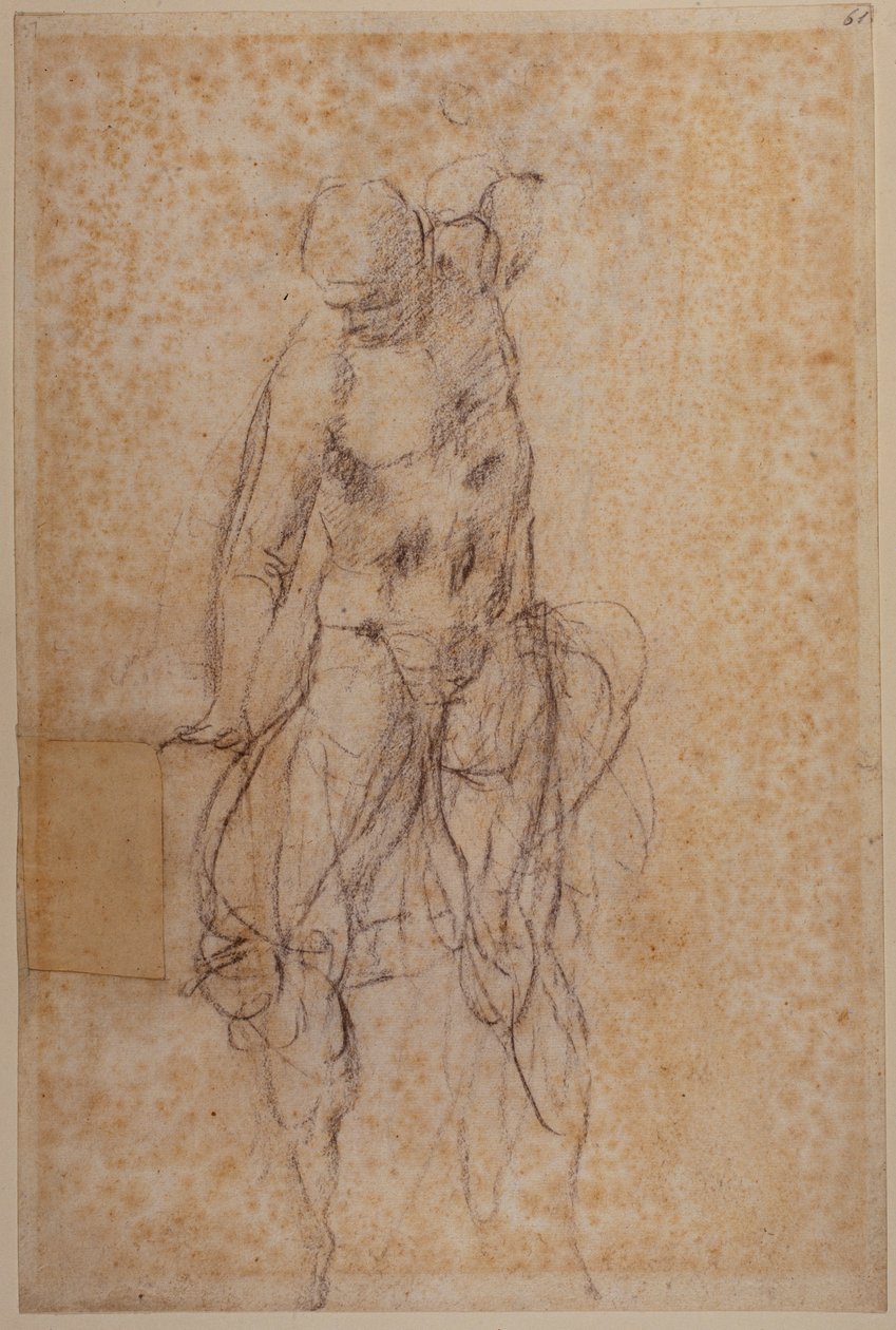 Studium dla zmartwychwstałego Chrystusa autorstwa Michelangelo Buonarroti