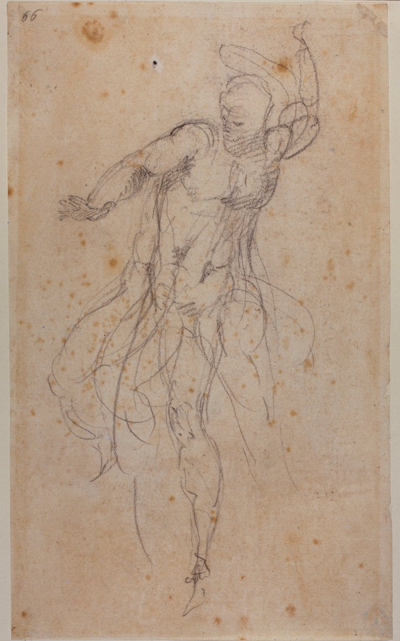 Studium dla zmartwychwstałego Chrystusa autorstwa Michelangelo Buonarroti