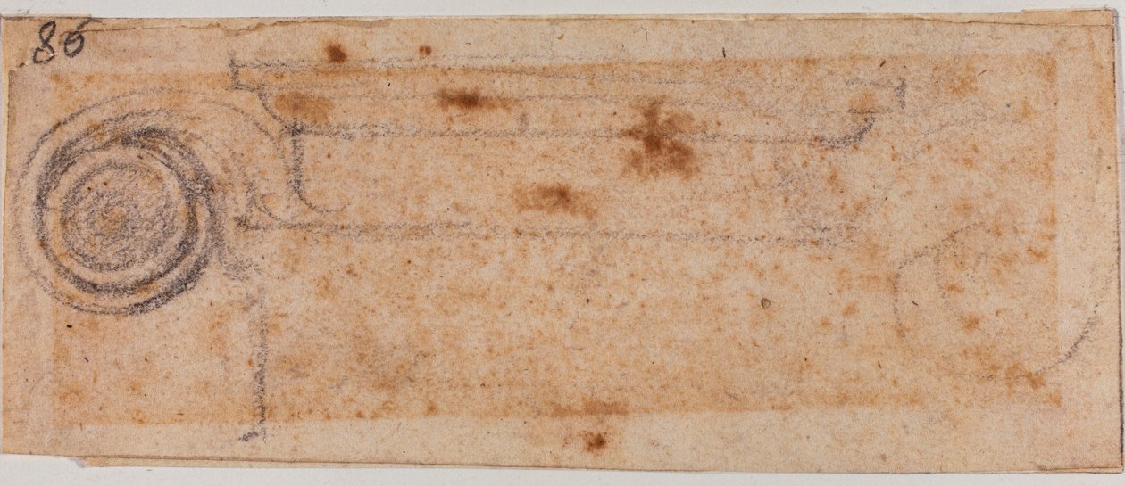 Badanie kapitału jonowego autorstwa Michelangelo Buonarroti