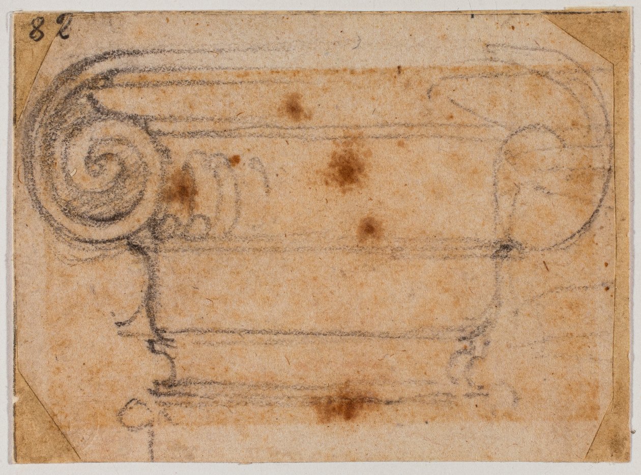 Badanie kapitału jonowego autorstwa Michelangelo Buonarroti