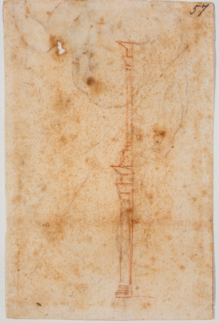 Profil ścienny autorstwa Michelangelo Buonarroti