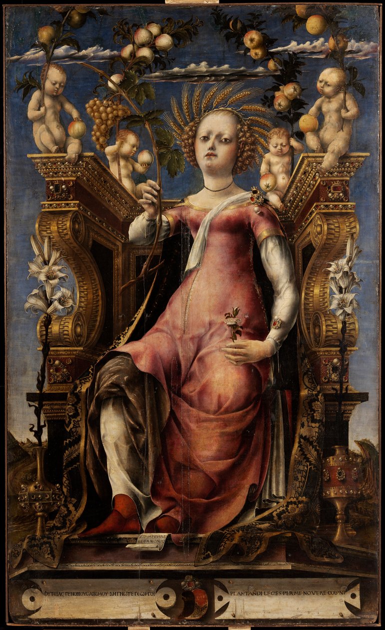 Muse Thalia, ok. 1457. autorstwa Michele Pannonio