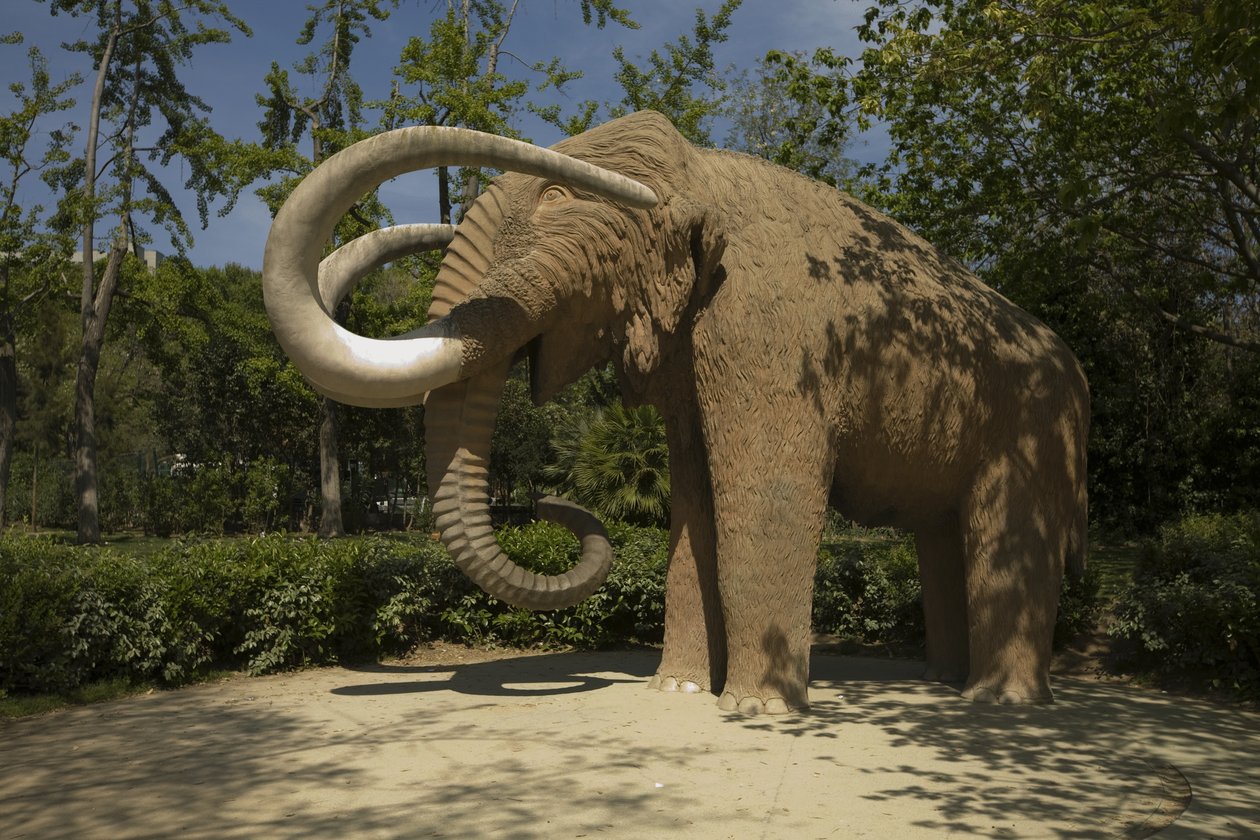 Mamut, 1907 autorstwa Miguel Dalmau