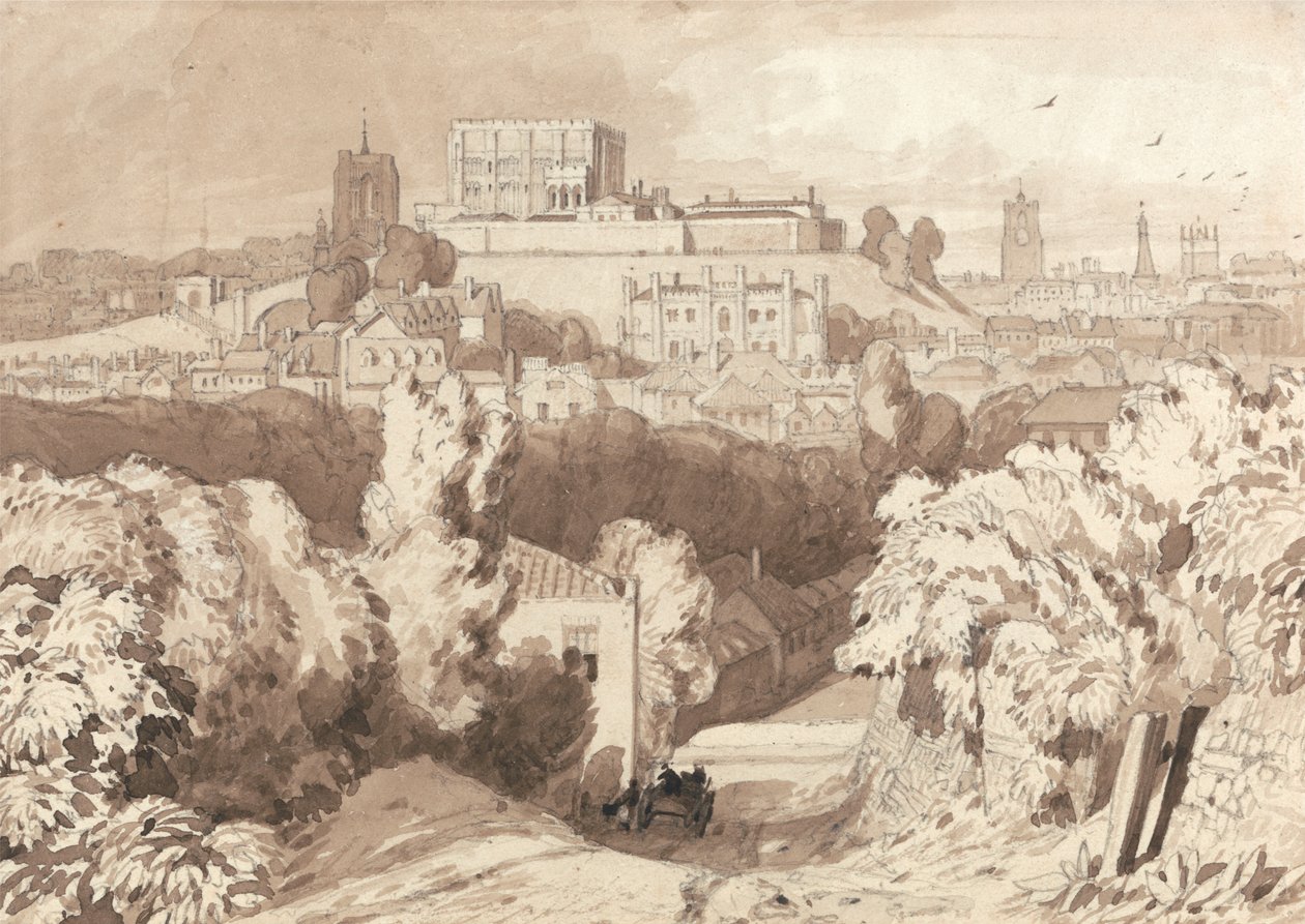 Widok na Norwich autorstwa Miles Edmund Cotman