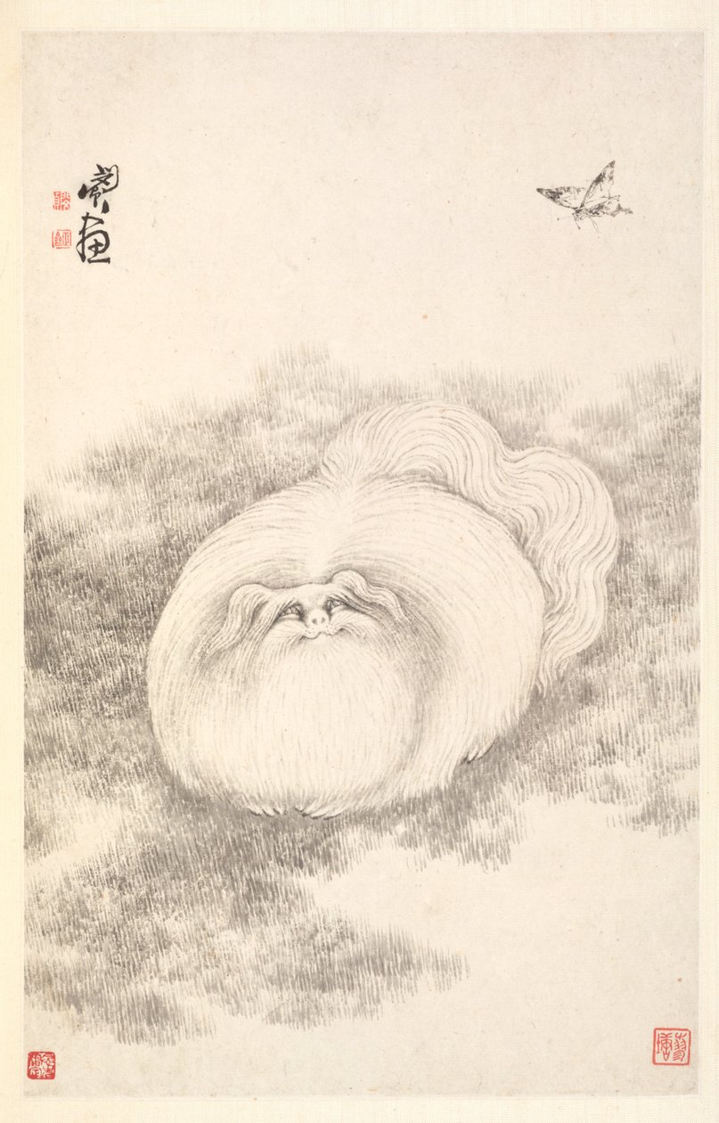 Kot i motyl, 1788. autorstwa Min Zhen