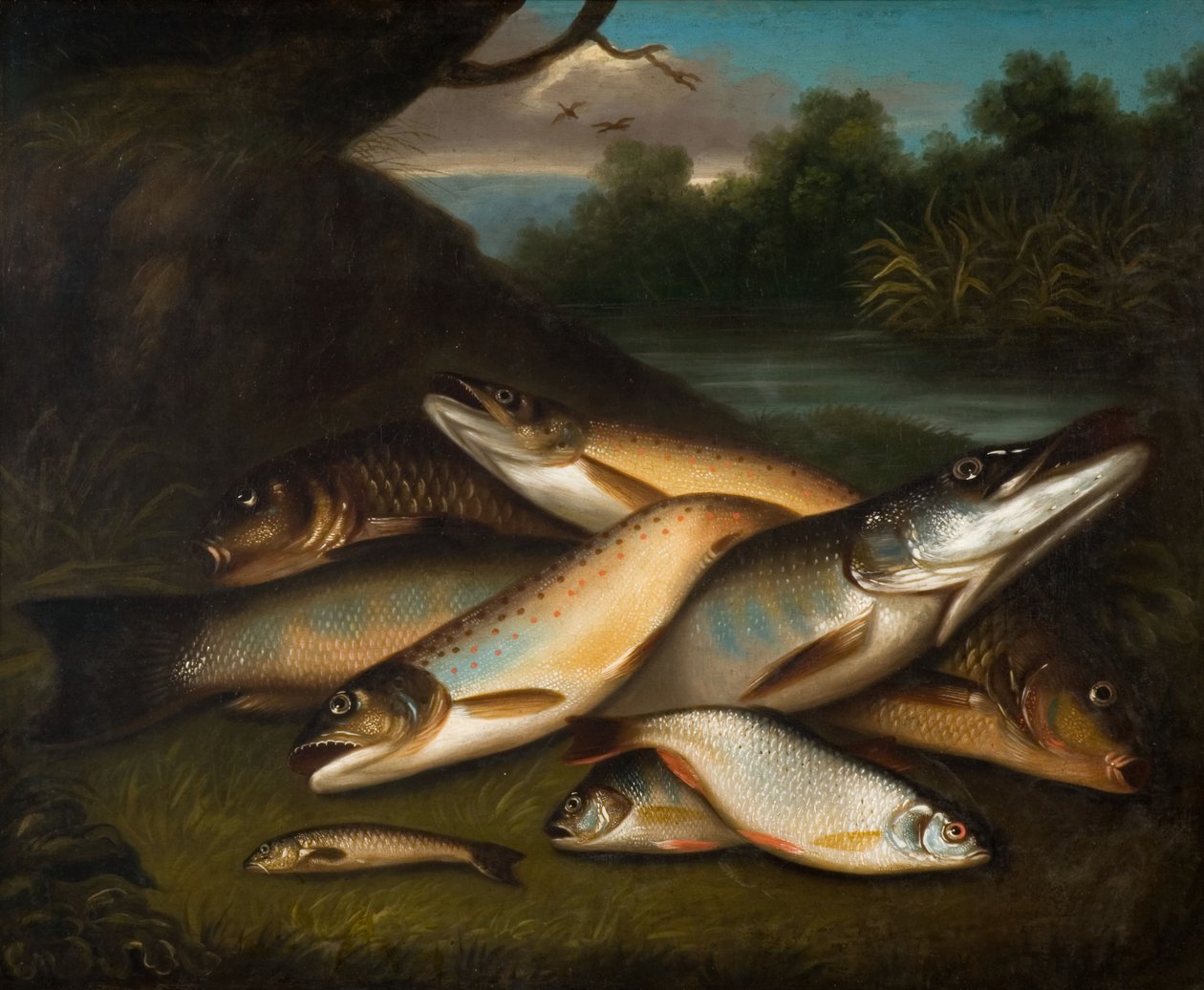Ryba, 1790. autorstwa Moses Haughton