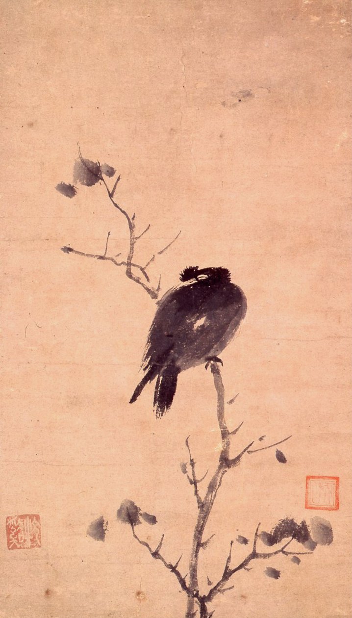 MYNA PTAK autorstwa Mu Xi