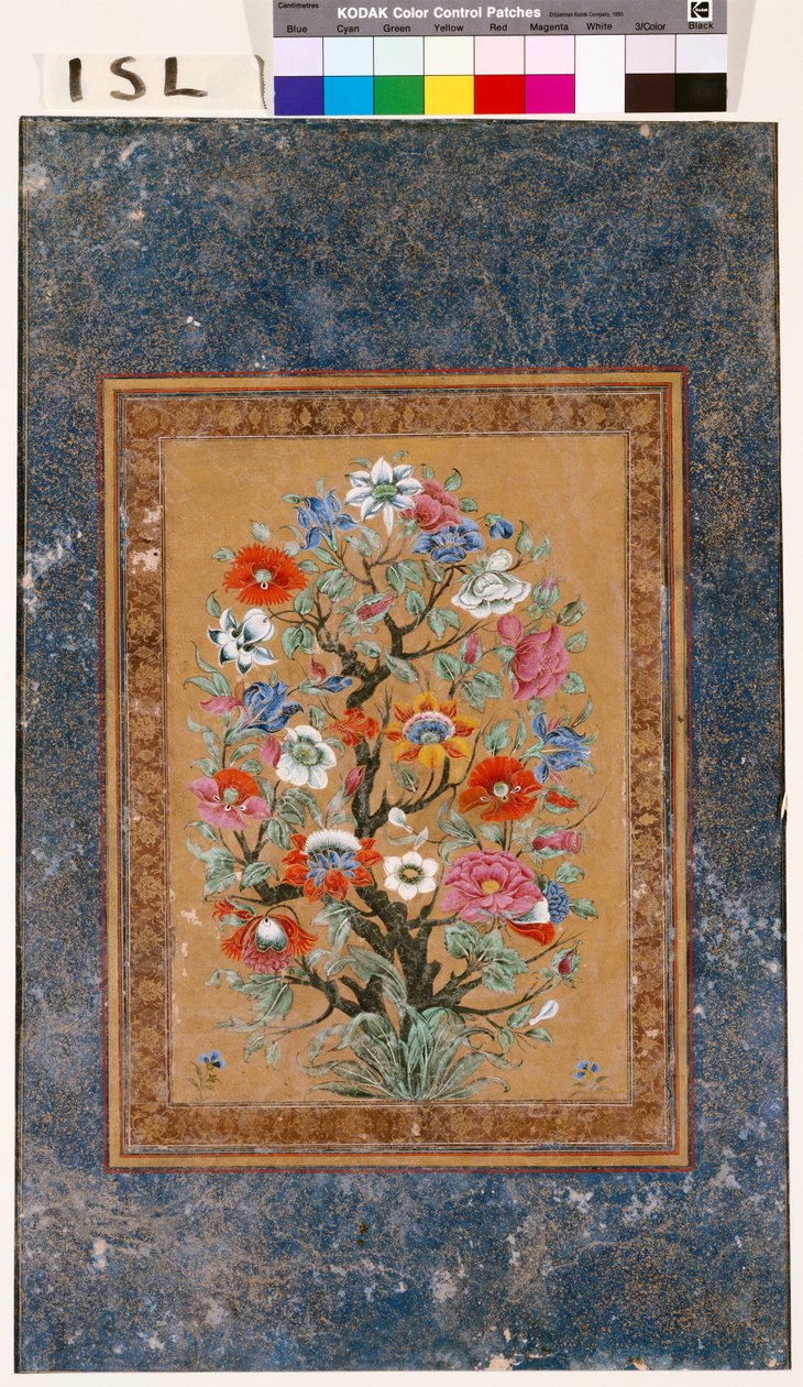 Mityczna Roślina autorstwa Mughal School
