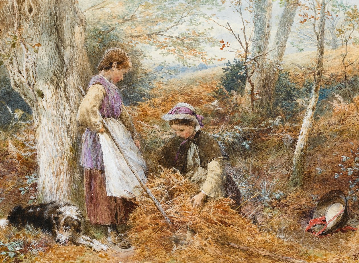 Zbieracze paproci (wc na papierze) autorstwa Myles Birket Foster