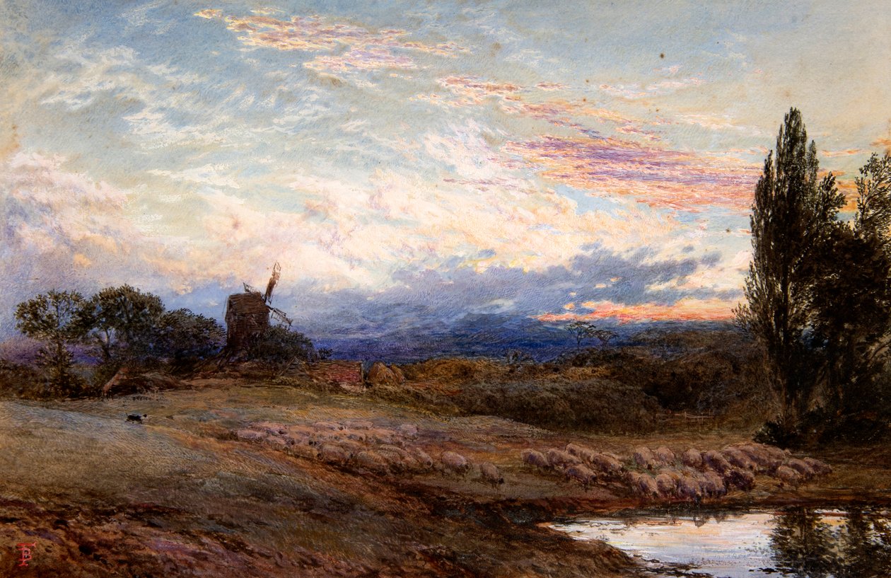 Polewanie owiec o zachodzie słońca (akwarela) autorstwa Myles Birket Foster