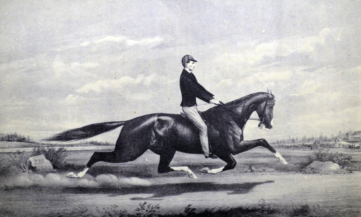 Currier & Ives ilustracja XIX wieku. Słynny koń Dexter Król Turf autorstwa N. and Ives, J.M. Currier