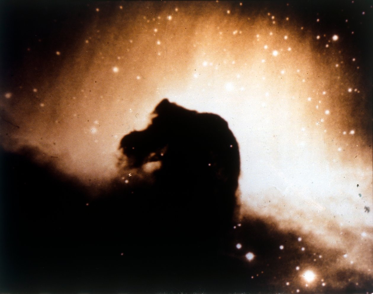 Mgławica Koński Łeb w Orionie. autorstwa NASA Images