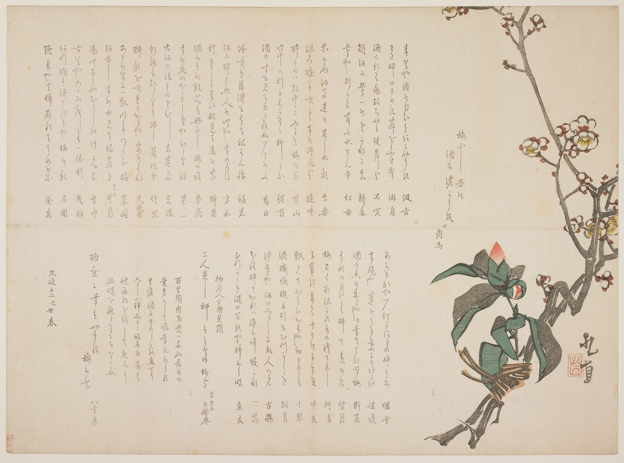 Gałęzie śliwki i kamelii, 1829 (kolorowy drzeworyt) autorstwa Nagayama Kchoku