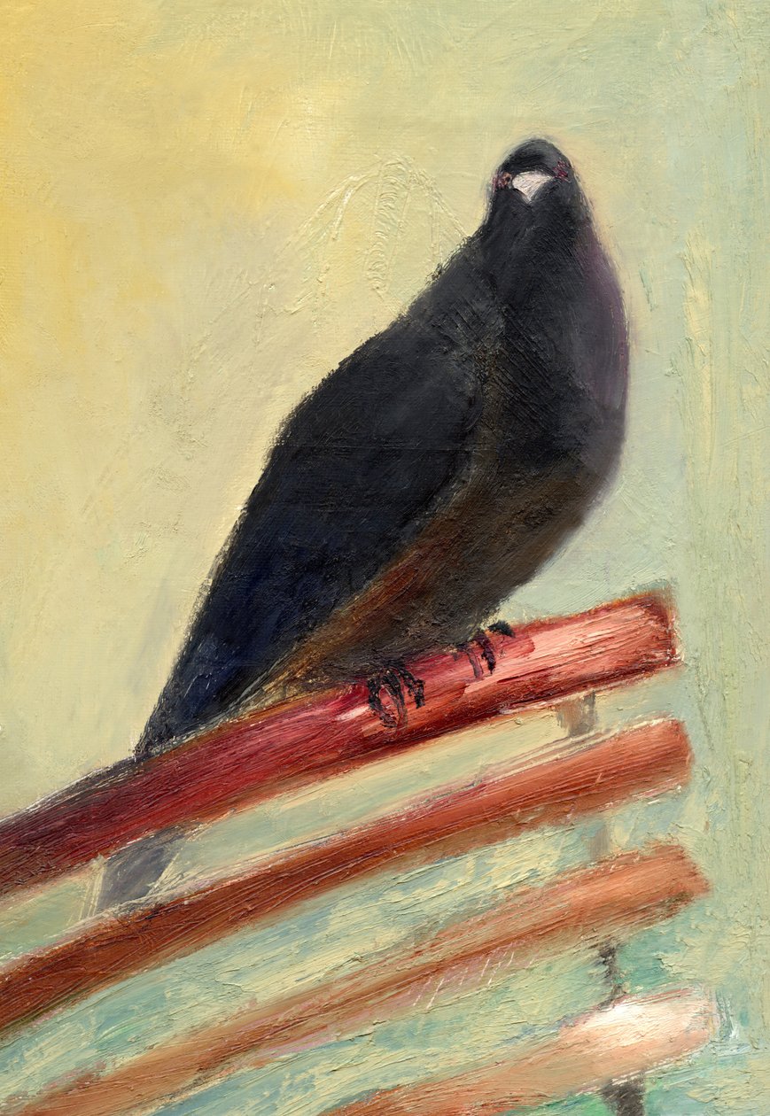Gołąb Królewskiego Dworu, 2013, autorstwa Nancy Moniz Charalambous
