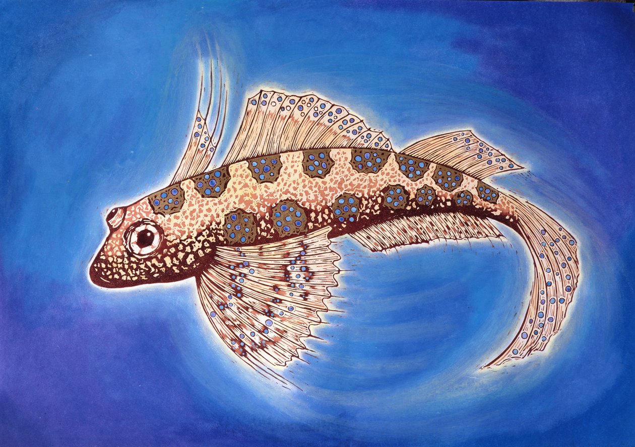 Dragonet Fish, 1999 (druk drzeworyt i technika mieszana) autorstwa Nat Morley