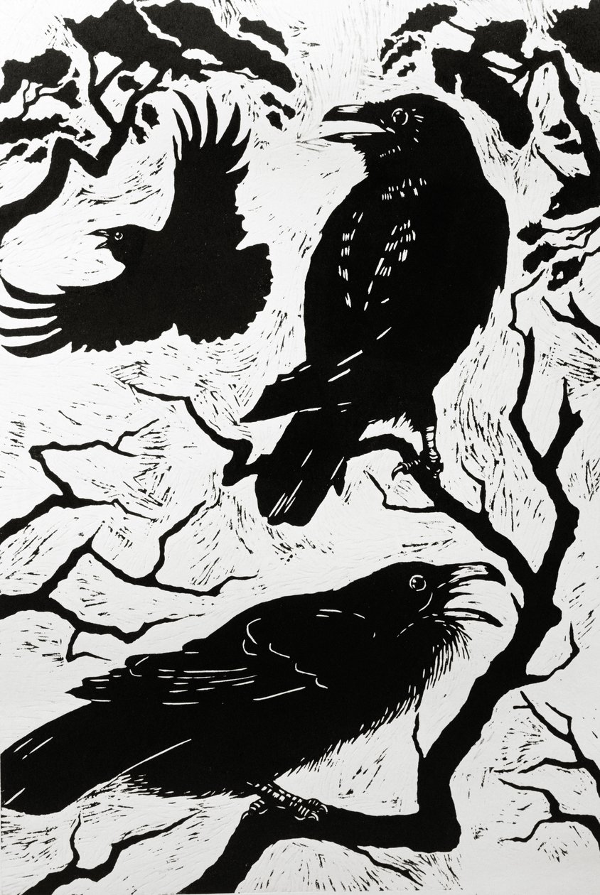 Kruki, 1998 autorstwa Nat Morley