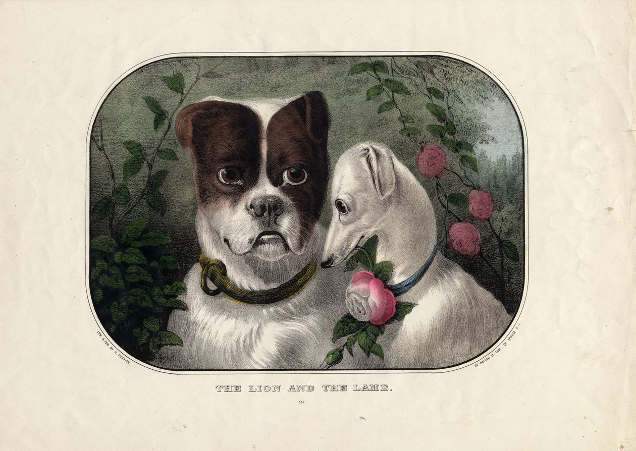 Lew i jagnię, wydany przez N. Currier, Nowy Jork, ok. 1838-56 autorstwa Nathaniel Currier
