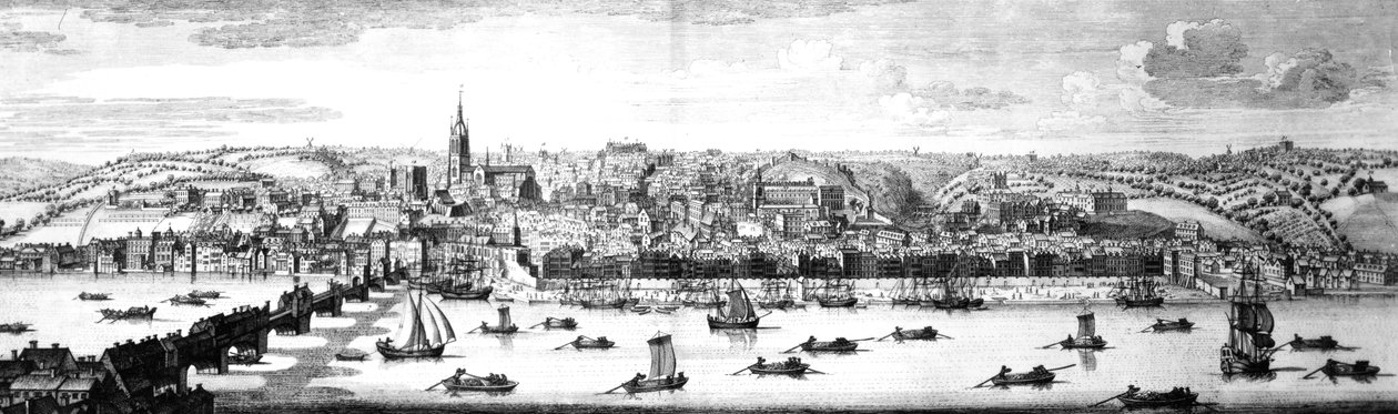 Południowo-wschodnia perspektywa Newcastle Upon Tyne, 1745 autorstwa Nathaniel and Samuel Buck