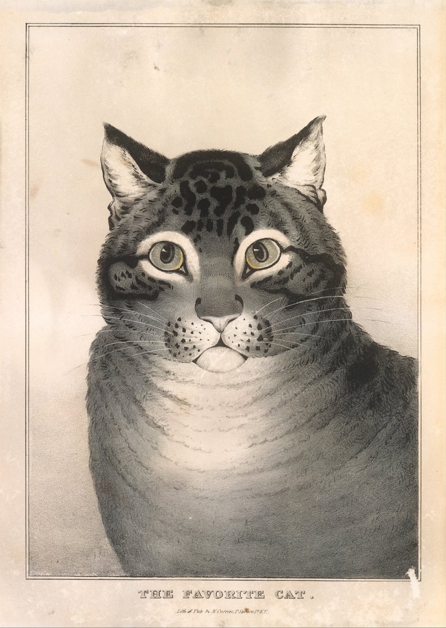 Ulubiony kot, 1838-46., 1838-46. autorstwa Nathaniel Currier